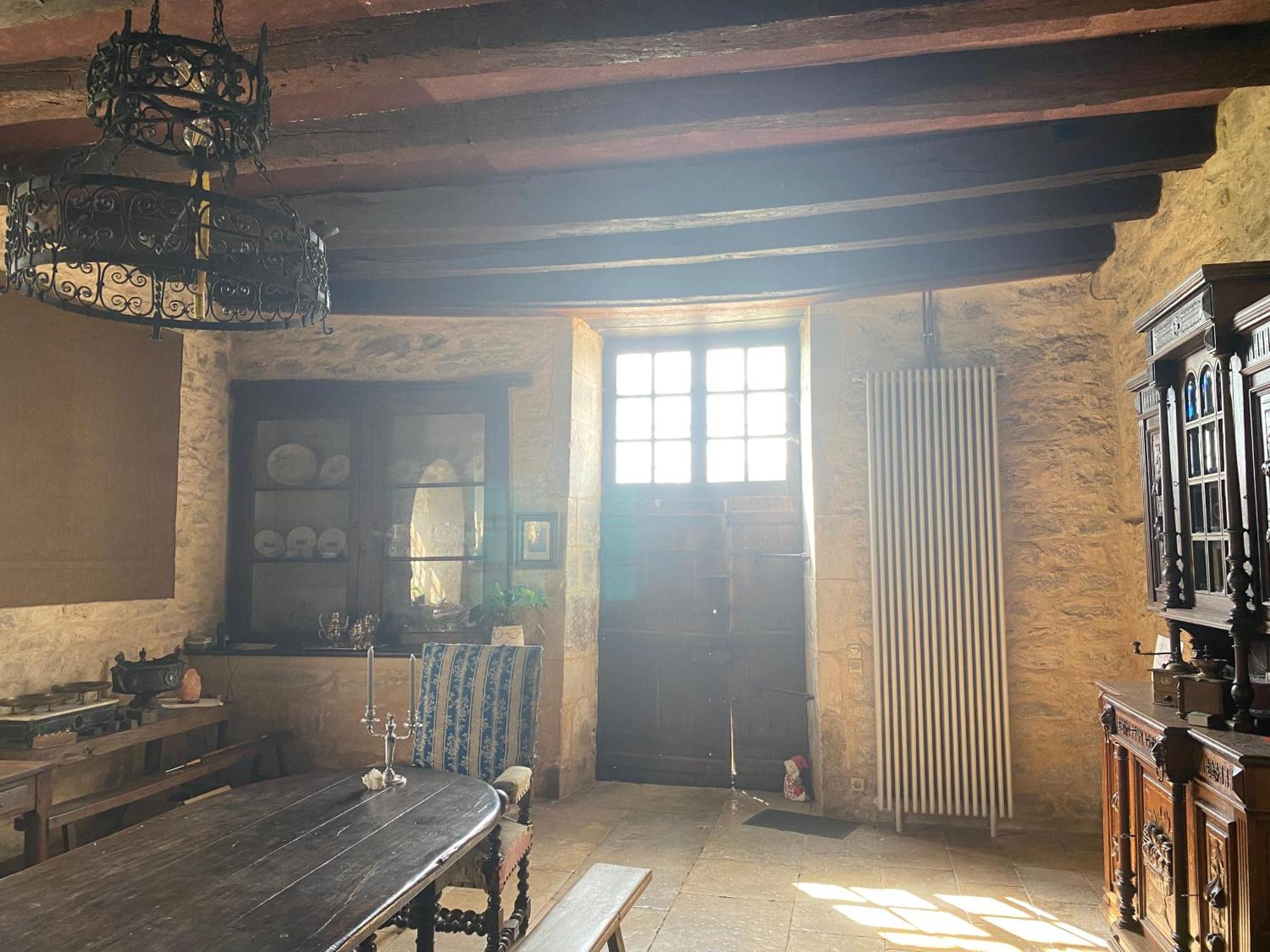 Chateau De Cibioux Surin  Buitenkant foto